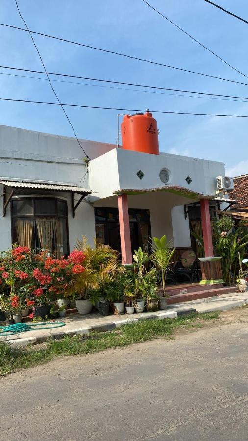 Owl Hostel Karimunjawa Luaran gambar